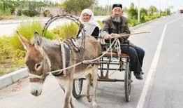 爆料二驴卖车视频播放,揭秘网红带货新趋势