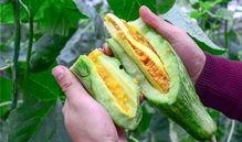 网红吃瓜超话,揭秘娱乐圈幕后故事