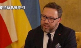 政坛新秀在线观看,崛起之路，在线观看揭秘